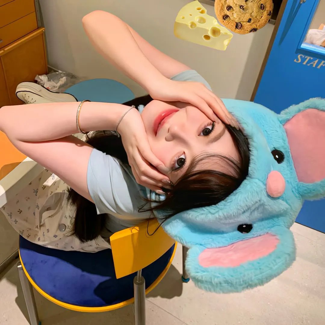 大象之梦